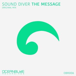 The Message (Original Mix)